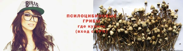 стаф Медвежьегорск