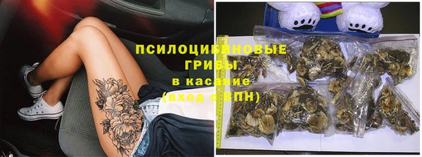 соль ск Мегион