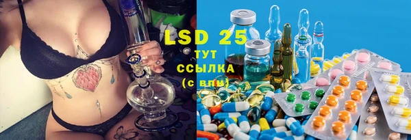 стаф Медвежьегорск