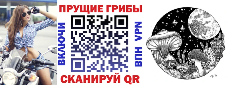 Псилоцибиновые грибы прущие грибы  купить наркотики цена  Туран 